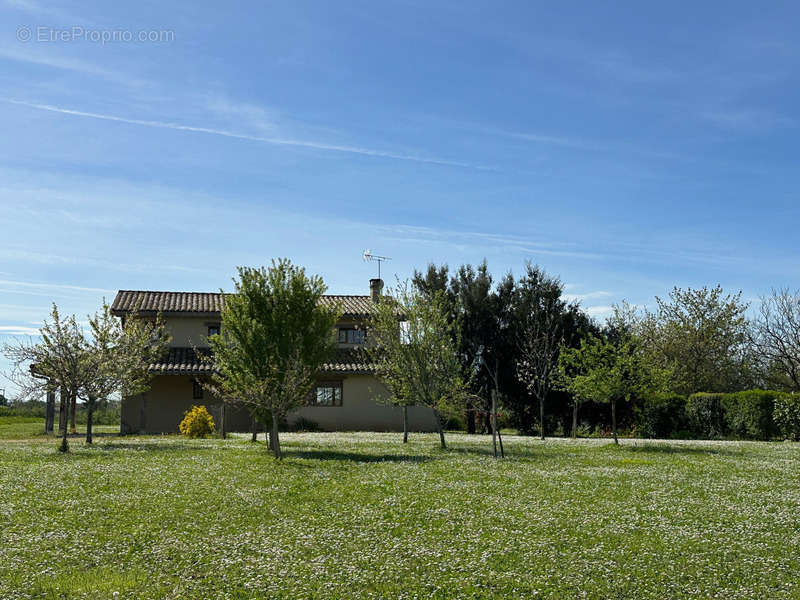 Maison à LAGRAULET-DU-GERS