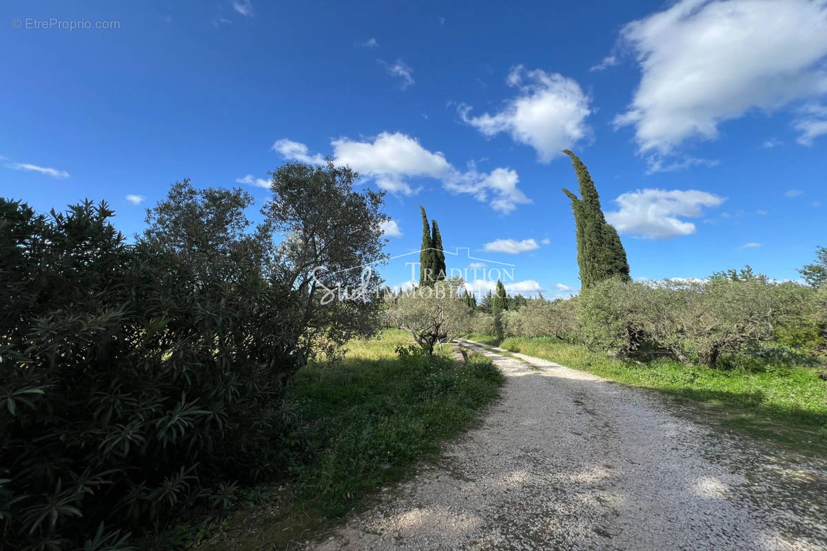 Terrain à FONTVIEILLE