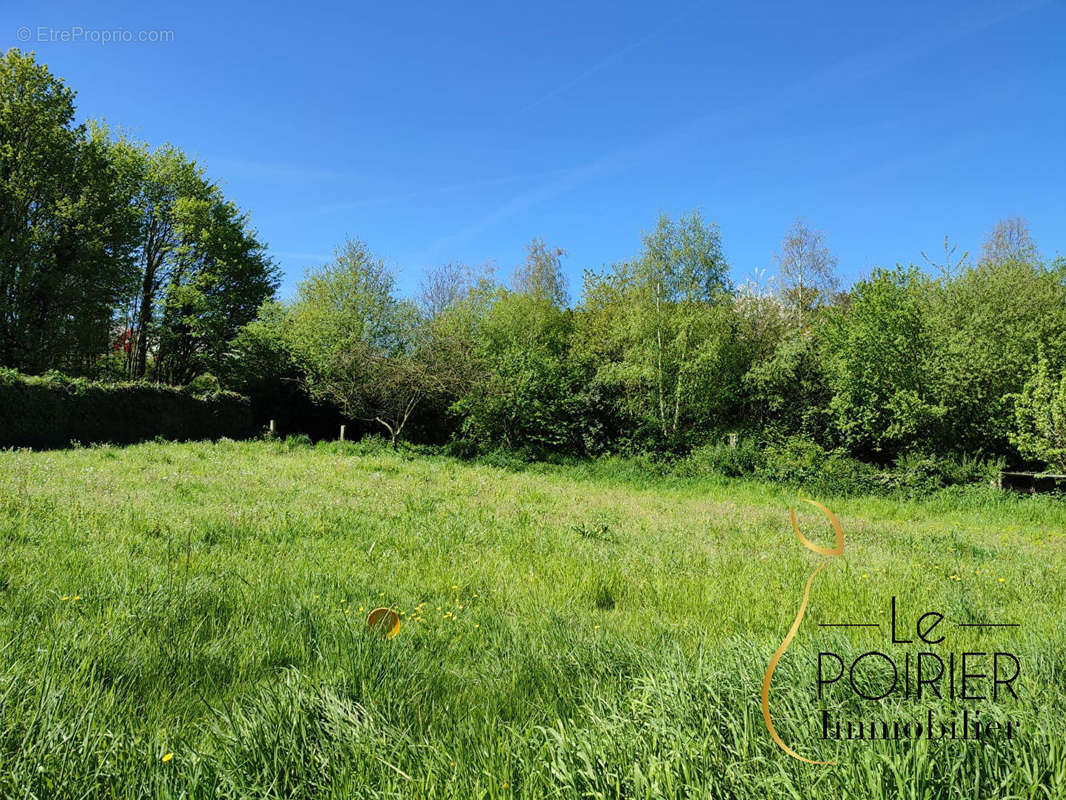 Terrain à LAMBALLE