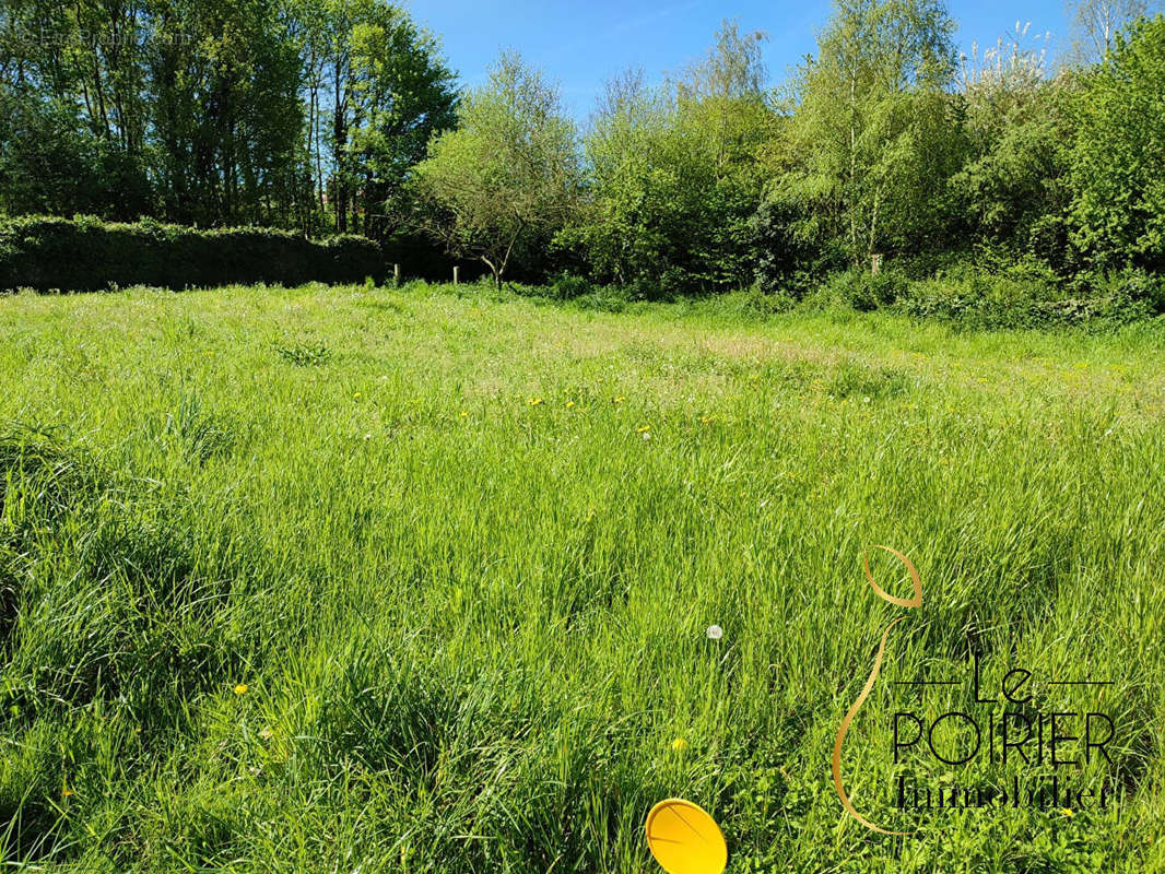 Terrain à LAMBALLE