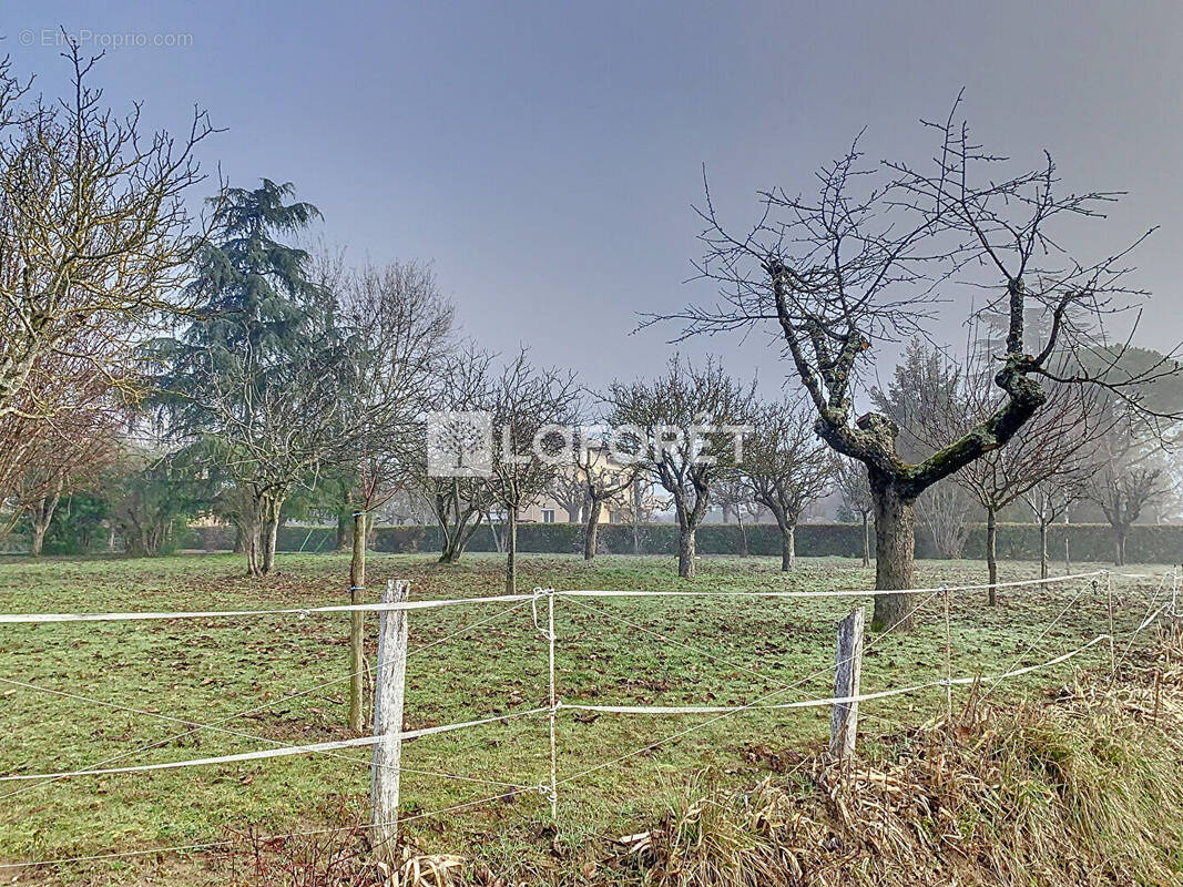 Terrain à GAILLAC