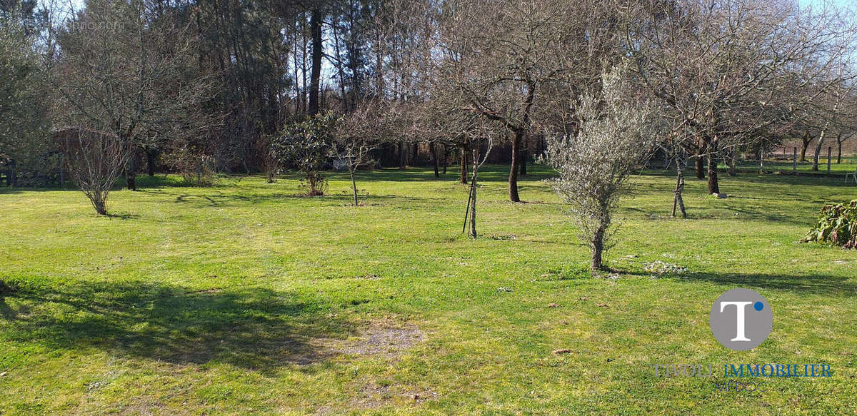 Terrain à SAINT-VIVIEN-DE-MEDOC