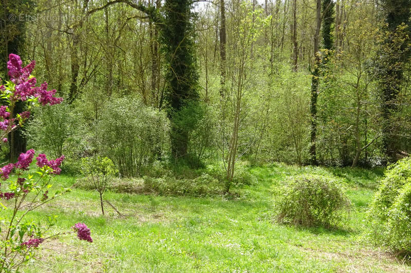 Maison à CHATEAU-LANDON