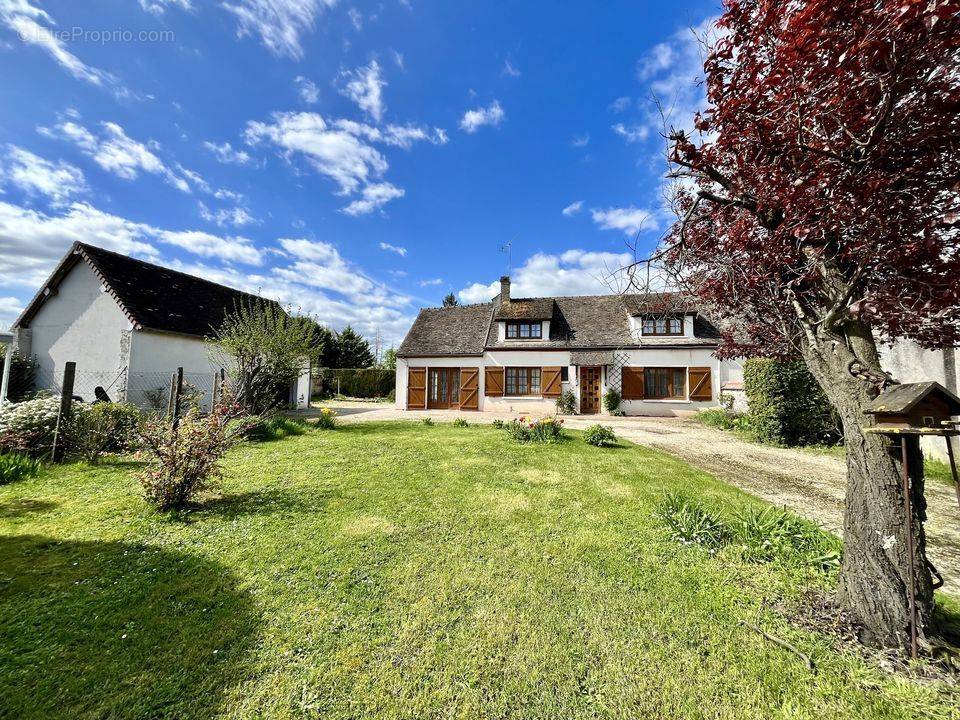 Maison à CHATENAY-SUR-SEINE