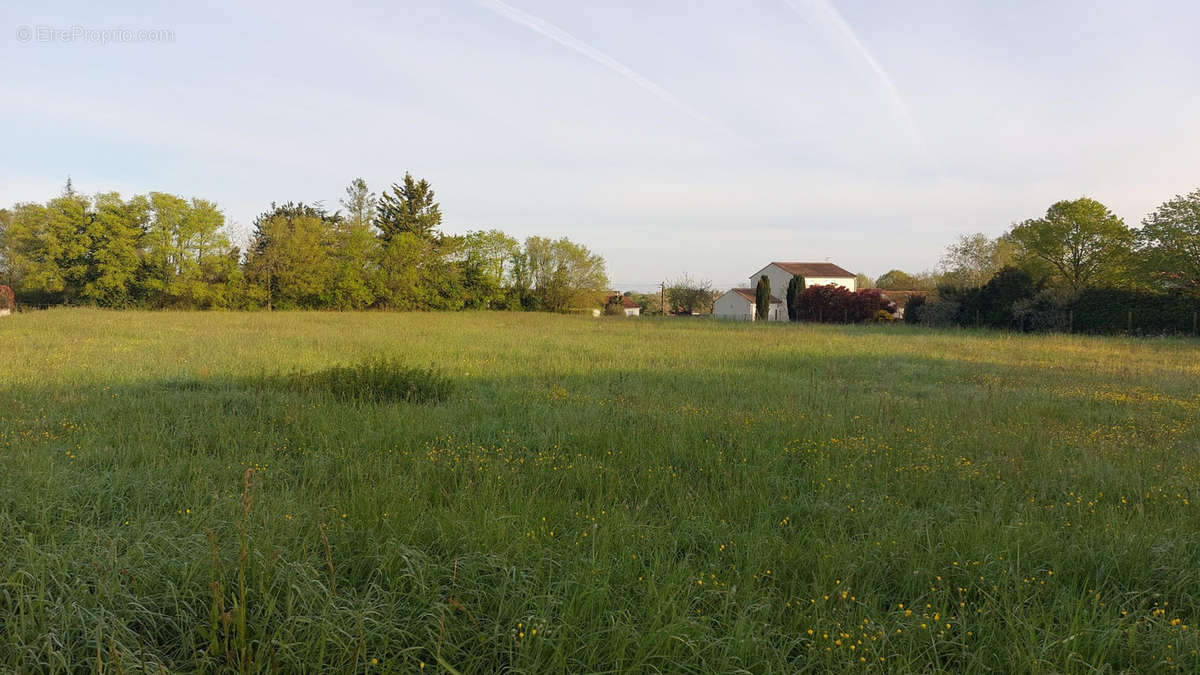 Terrain à SAINT-REMY