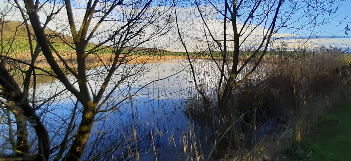 Terrain à CHAMPENOUX