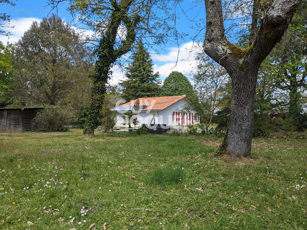 Maison à SAINT-PIERRE-DU-MONT