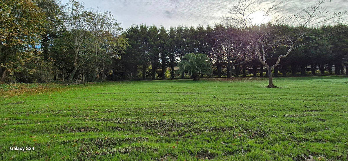 Terrain à CONCARNEAU