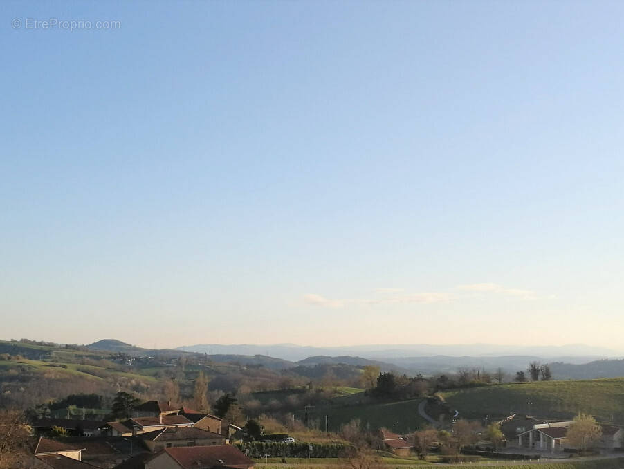 Terrain à CHATEAUNEUF-DE-GALAURE