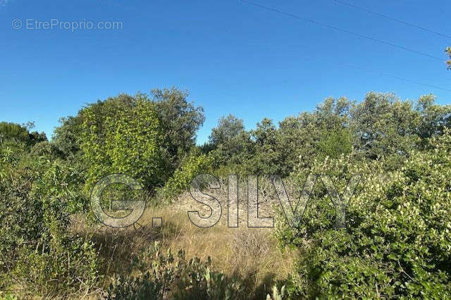 Terrain à SERIGNAN-DU-COMTAT