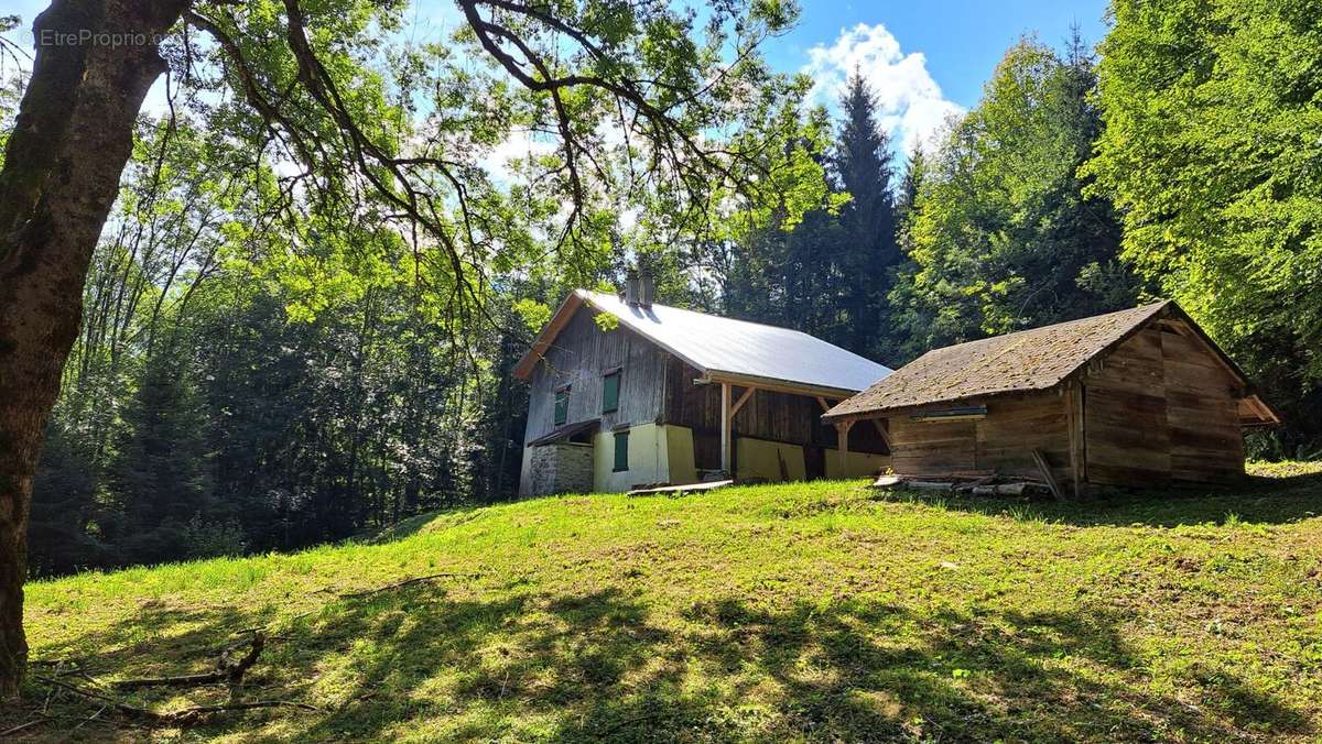 Maison à MORILLON