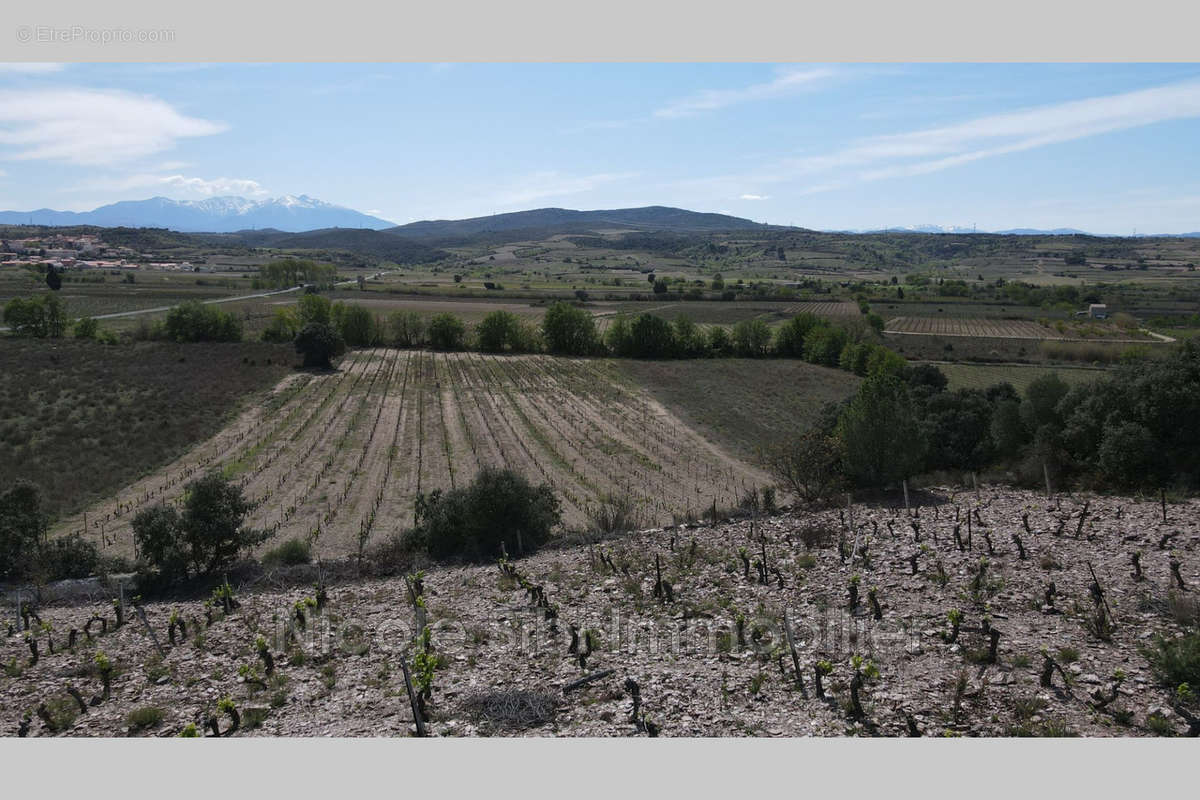 Terrain à ESTAGEL