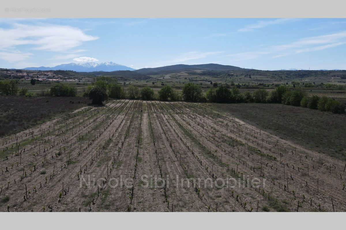 Terrain à ESTAGEL