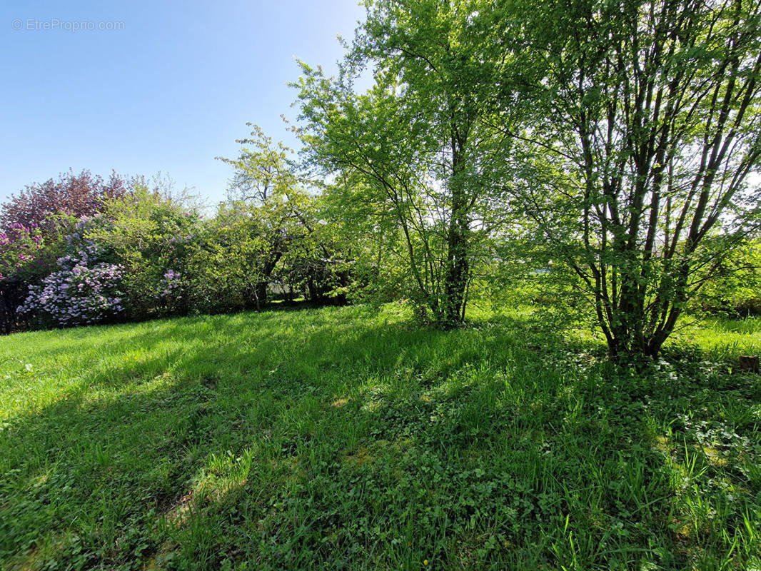 Terrain à SOULTZ-HAUT-RHIN