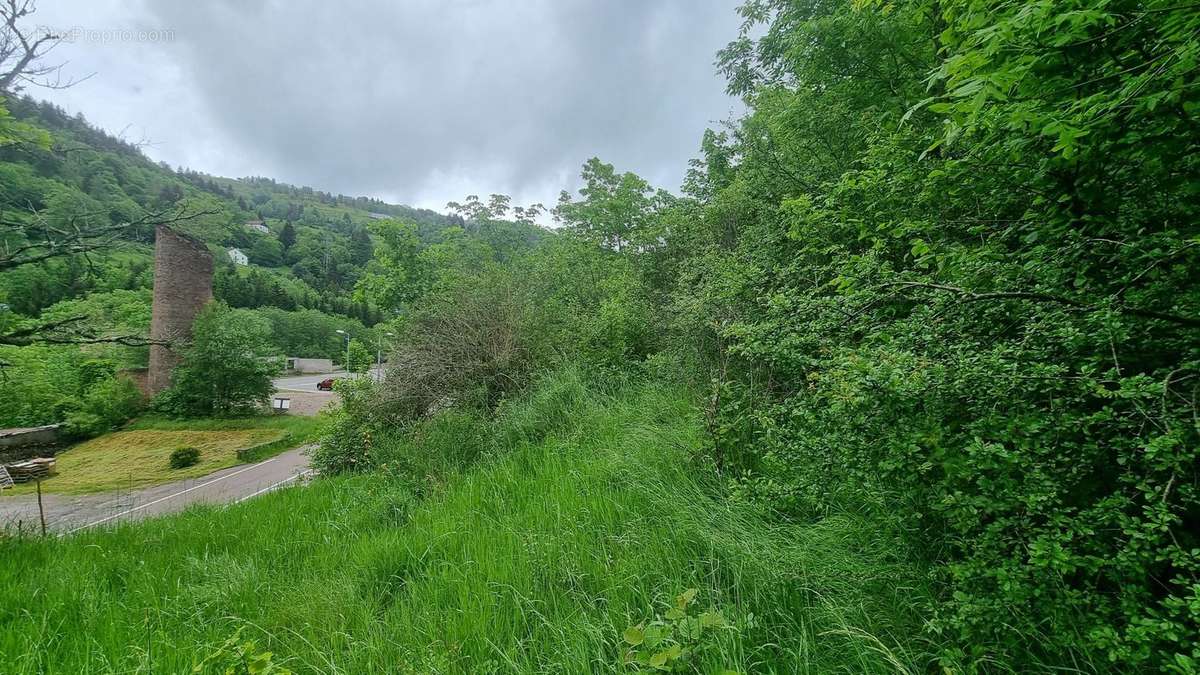 Terrain à LA BRESSE