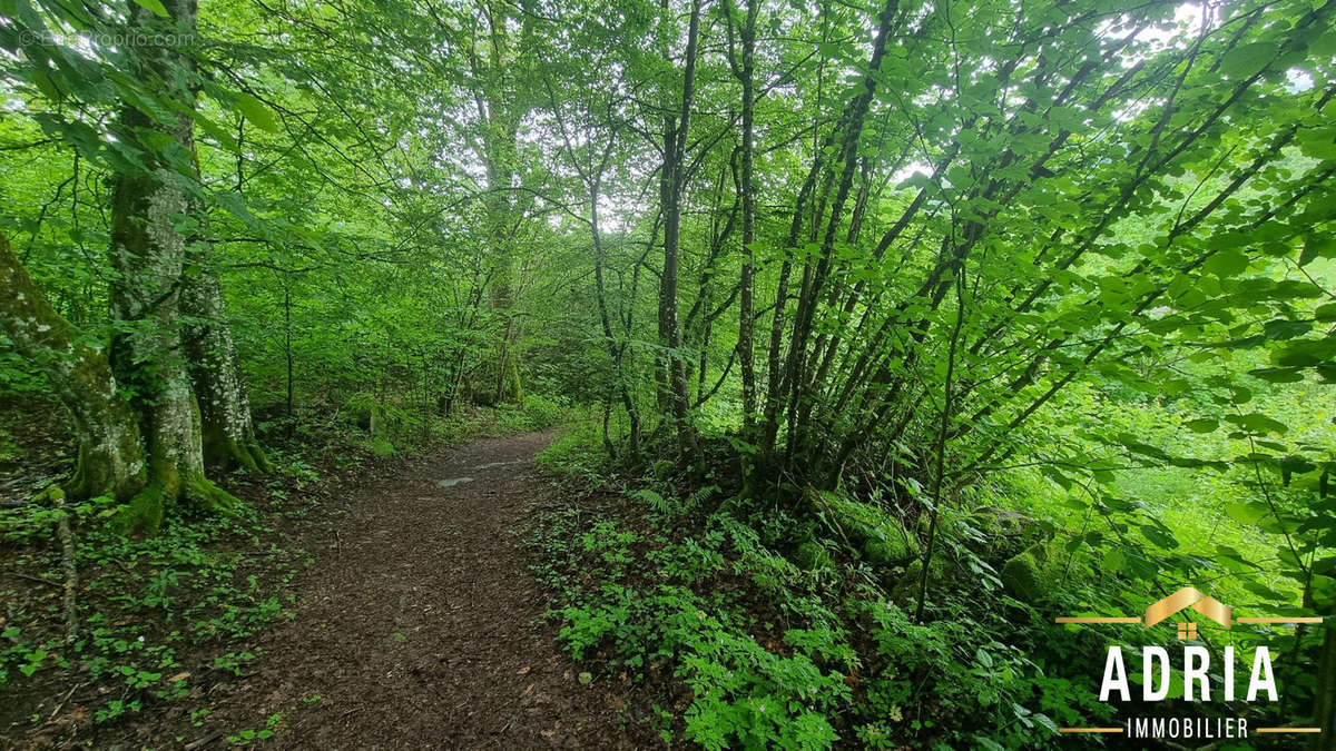 Terrain à LA BRESSE