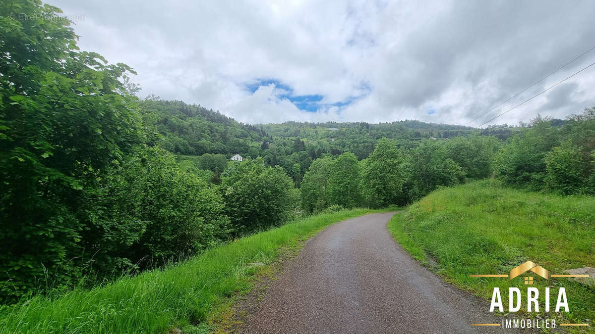 Terrain à LA BRESSE