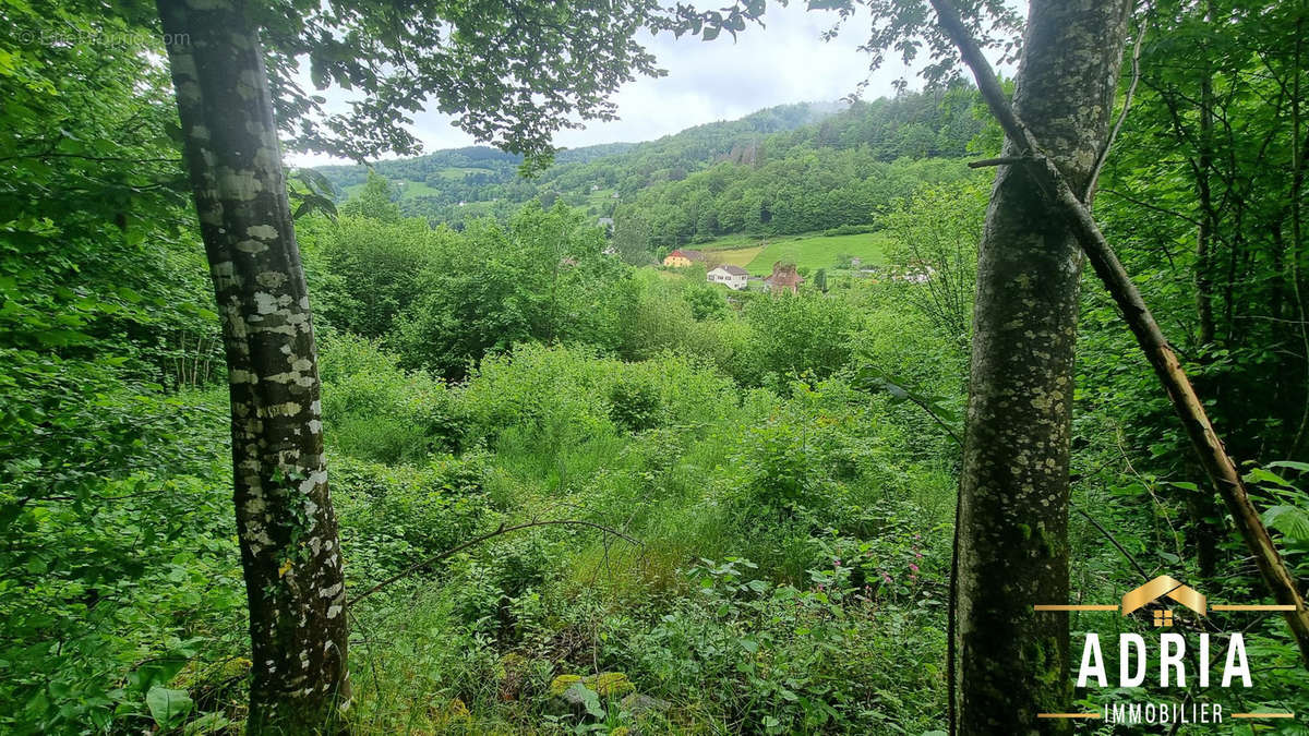 Terrain à LA BRESSE