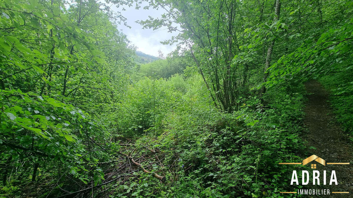 Terrain à LA BRESSE