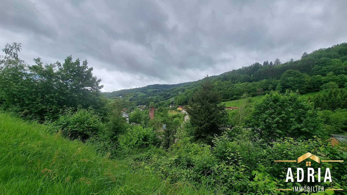 Terrain à LA BRESSE