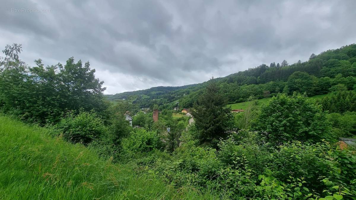 Terrain à LA BRESSE