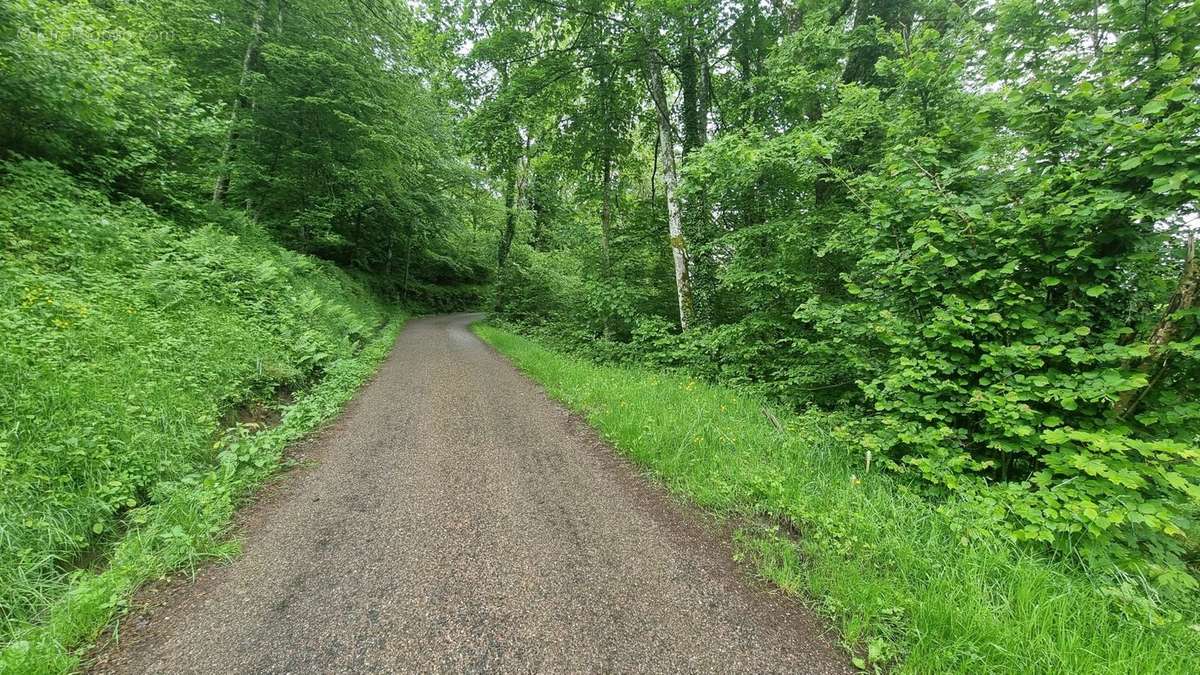 Terrain à LA BRESSE