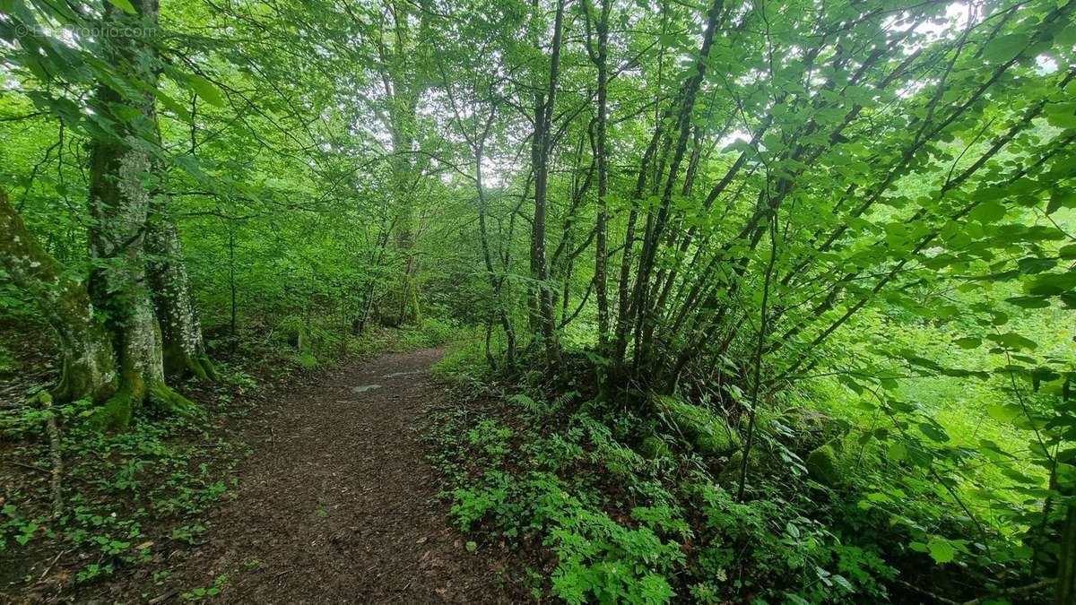 Terrain à LA BRESSE