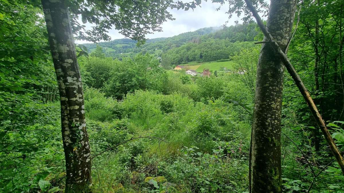 Terrain à LA BRESSE