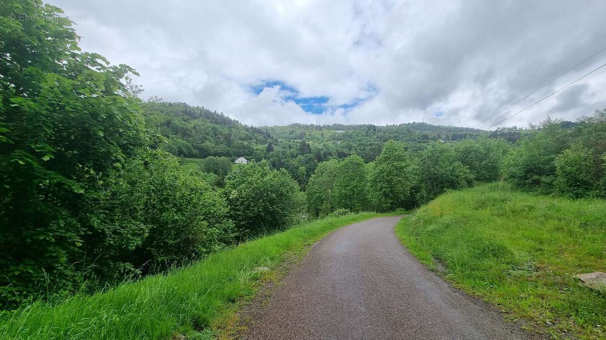 Terrain à LA BRESSE