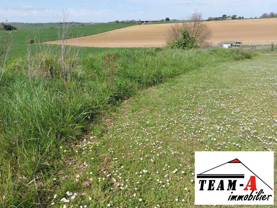 Terrain à GAILLAC-TOULZA