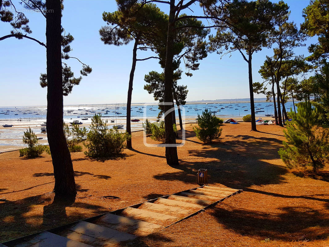 Maison à LEGE-CAP-FERRET