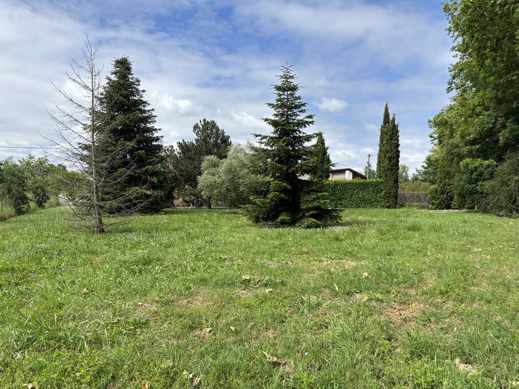 Terrain à CASTELSARRASIN