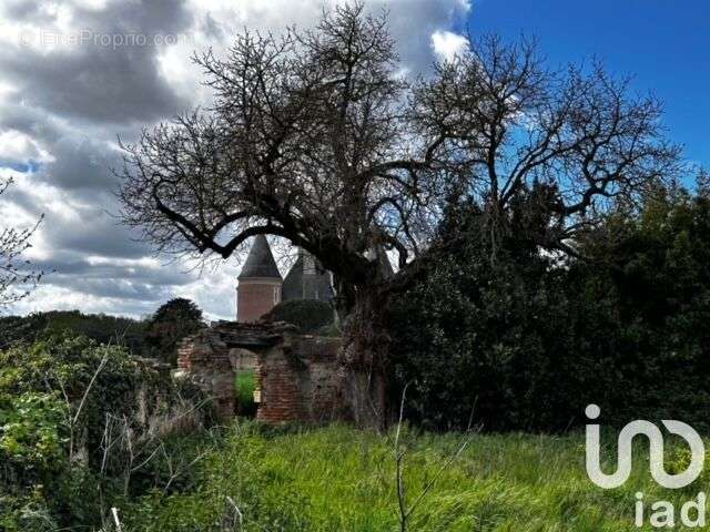 Photo 3 - Terrain à SAINT-ELIX-LE-CHATEAU