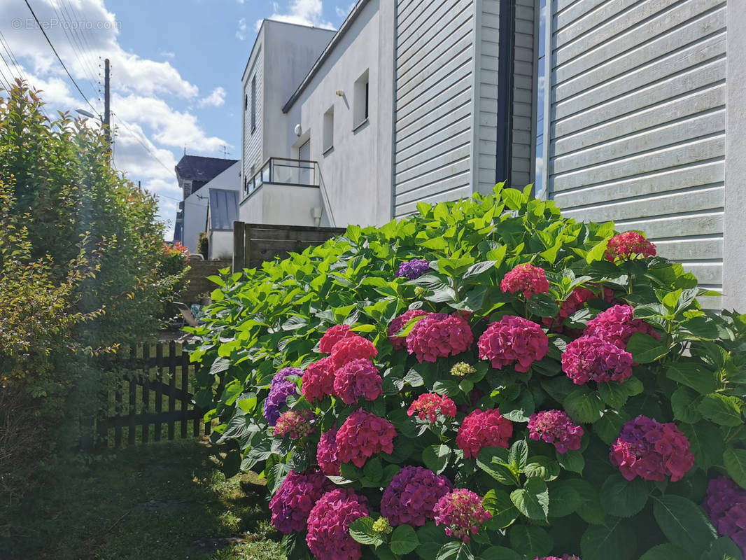 Appartement à VANNES