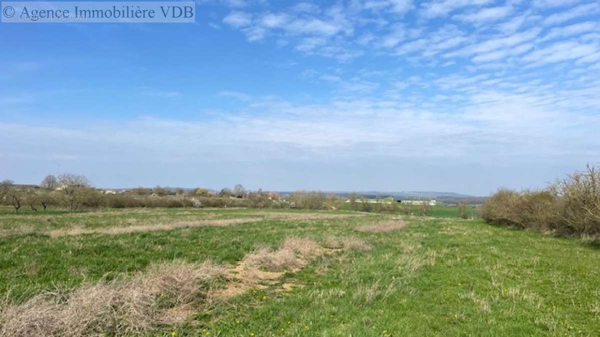 Terrain à HARAUCOURT