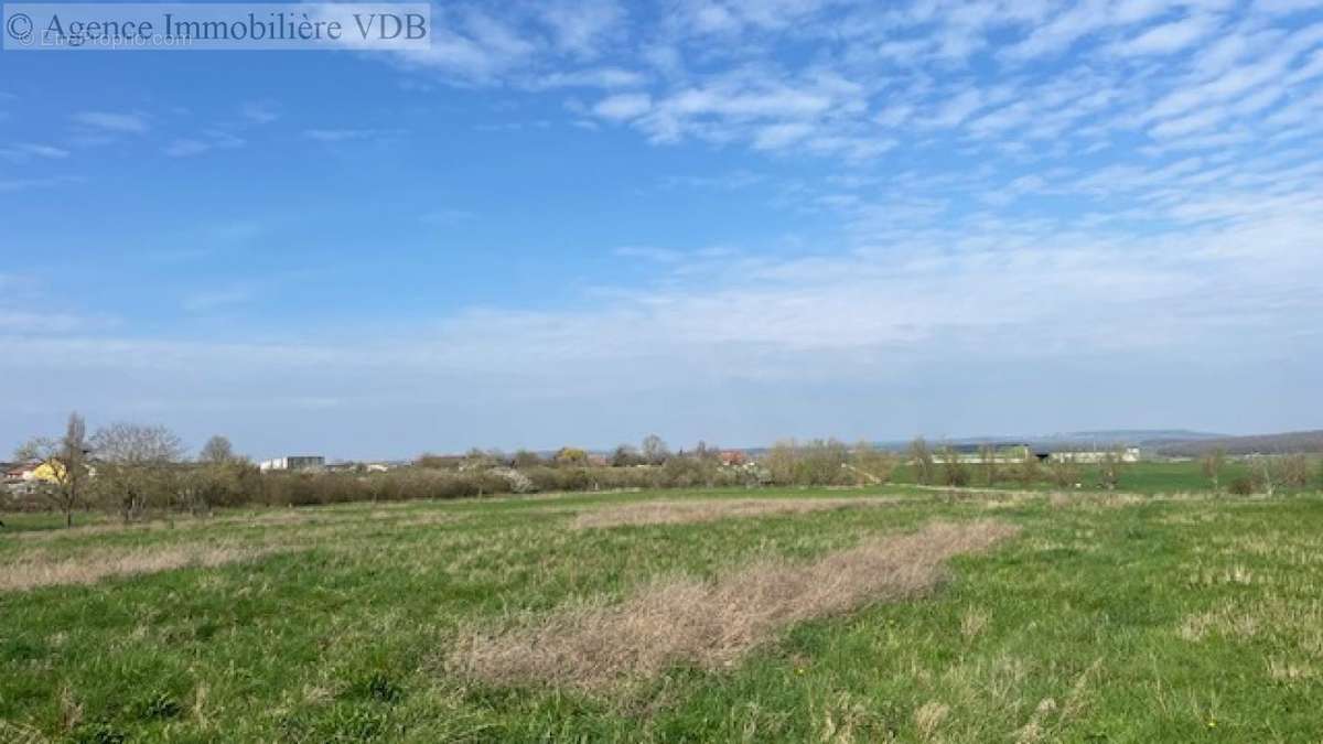 Terrain à HARAUCOURT