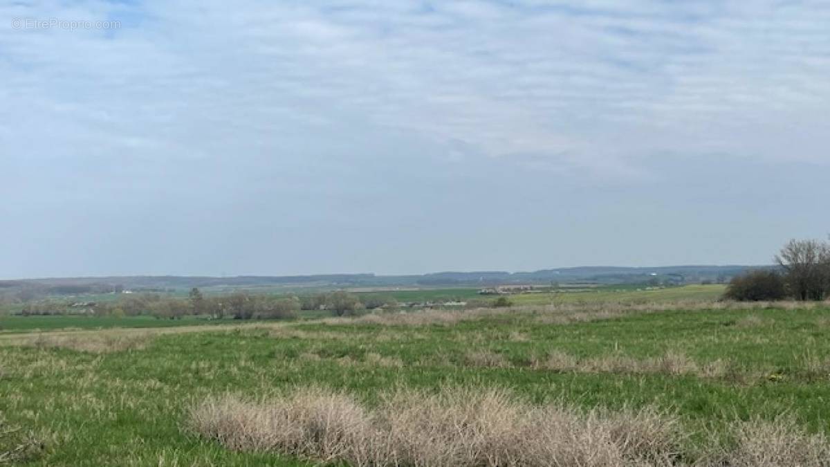 Terrain à HARAUCOURT