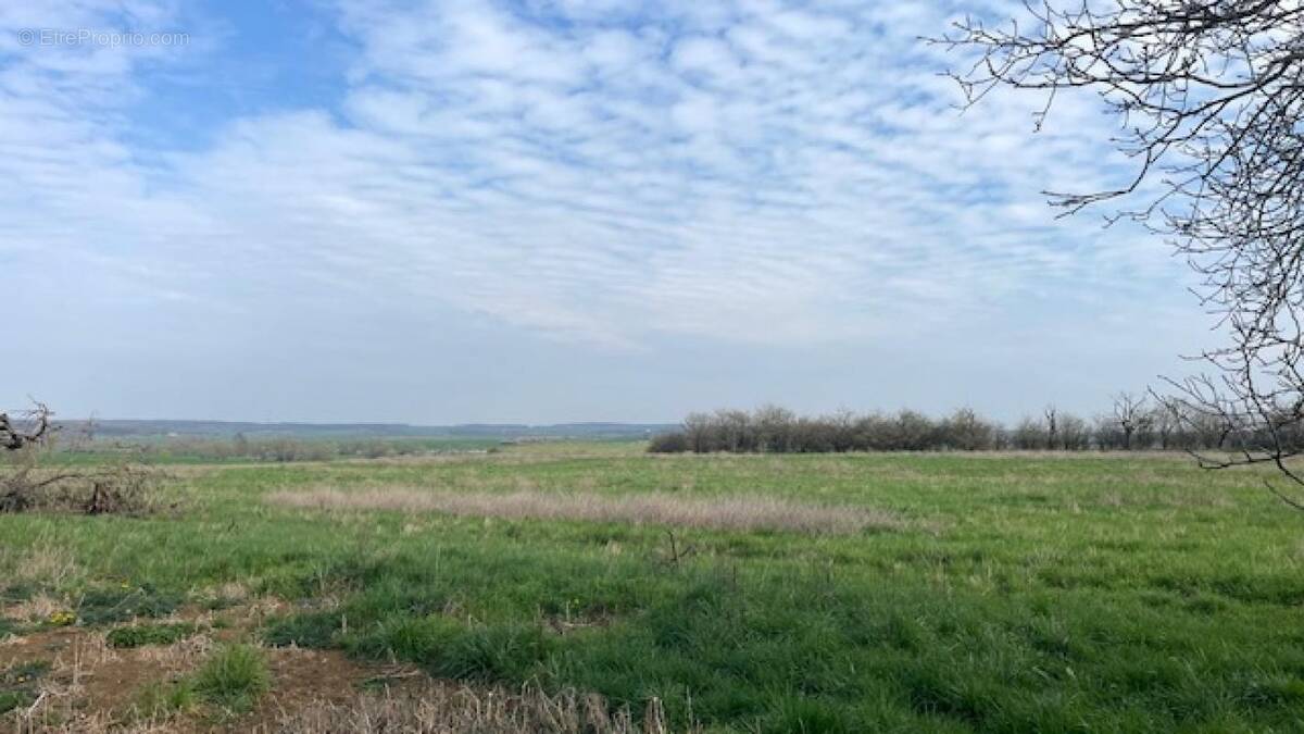 Terrain à HARAUCOURT