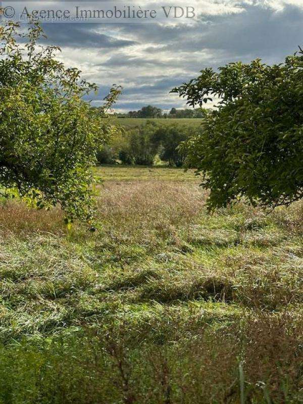 Terrain à MONCEL-SUR-SEILLE