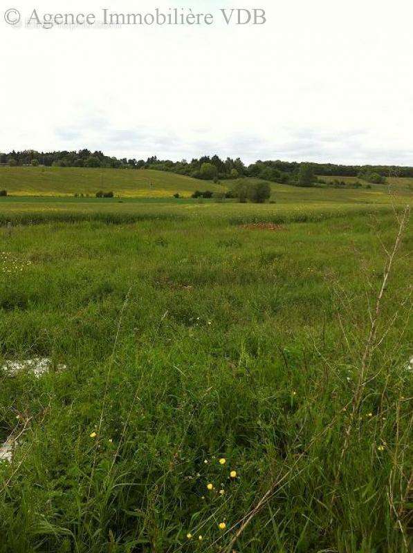 Terrain à MONCEL-SUR-SEILLE