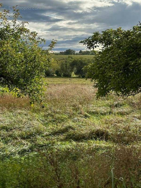 Terrain à MONCEL-SUR-SEILLE