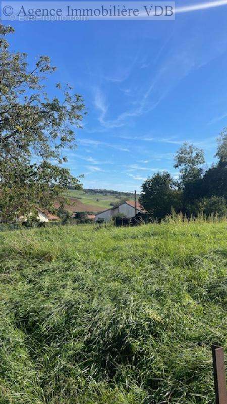 Terrain à BOUXIERES-AUX-CHENES