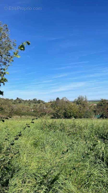 Terrain à BOUXIERES-AUX-CHENES