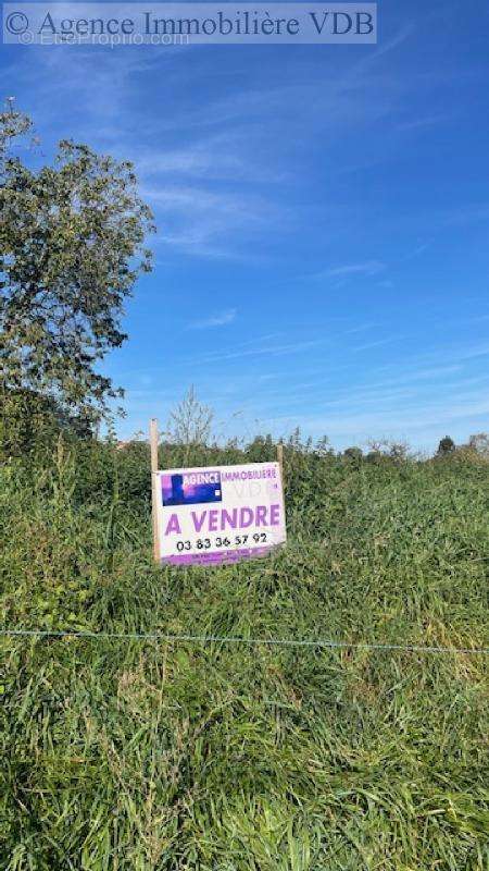 Terrain à BOUXIERES-AUX-CHENES