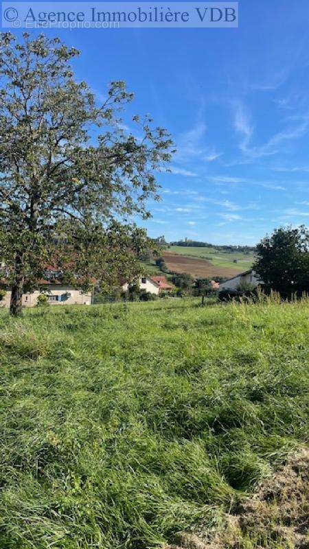 Terrain à BOUXIERES-AUX-CHENES