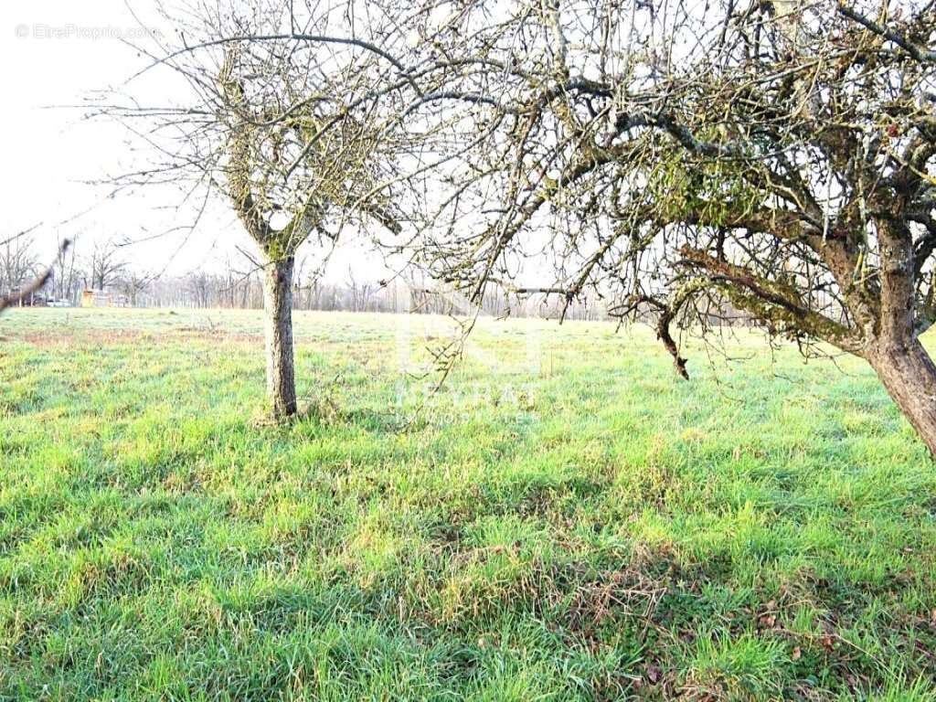 Terrain à SAINT-GERMAIN-DU-BOIS