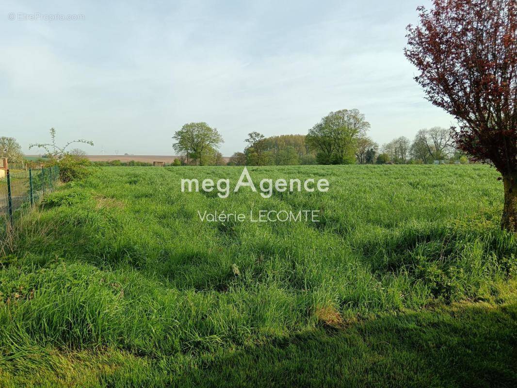 Terrain à LONGUEVAL