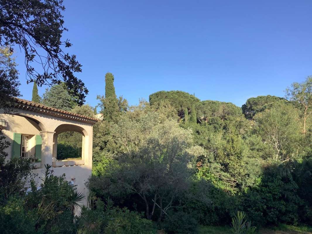 Photo 3 - Maison à ROQUEBRUNE-SUR-ARGENS