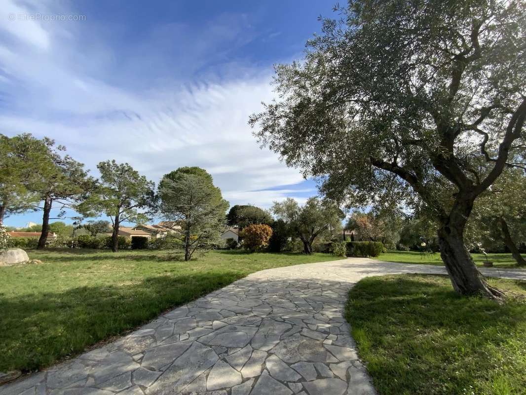 Maison à BIZE-MINERVOIS