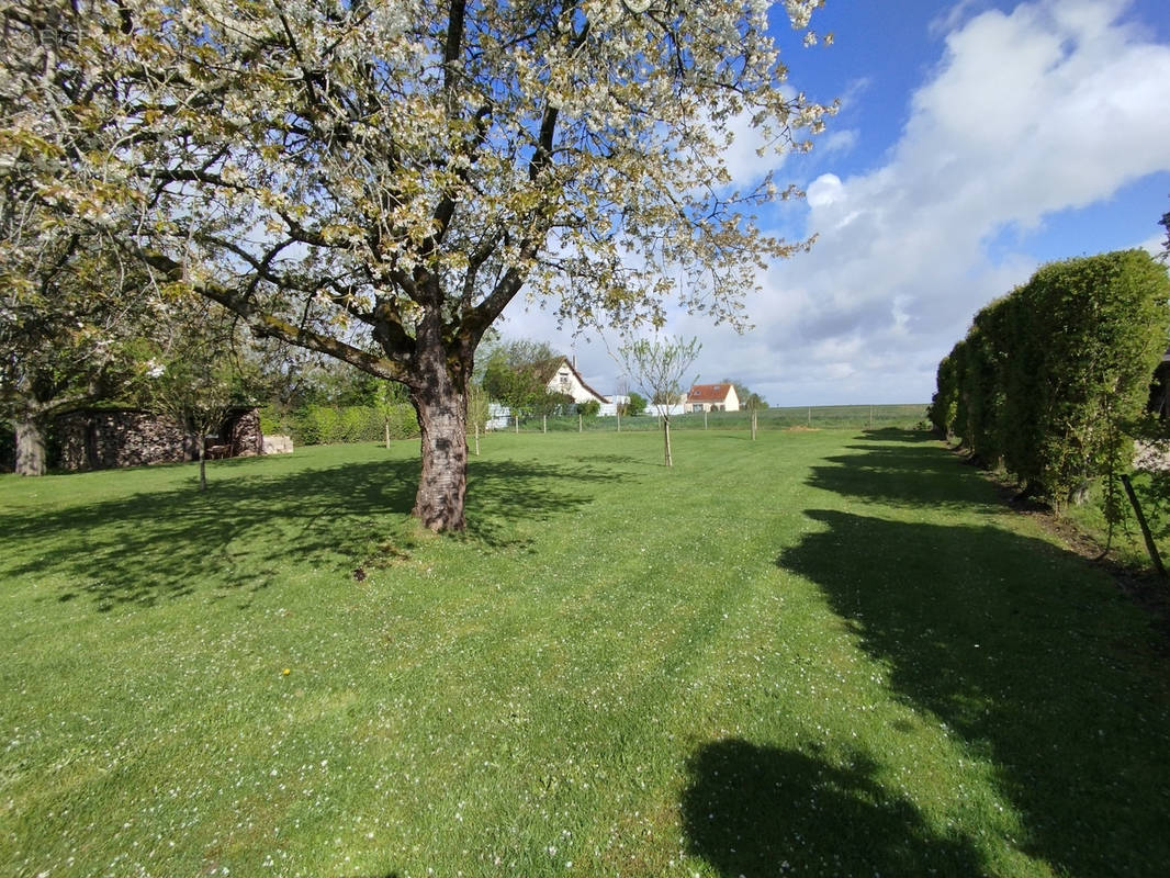 Terrain à LE NEUBOURG